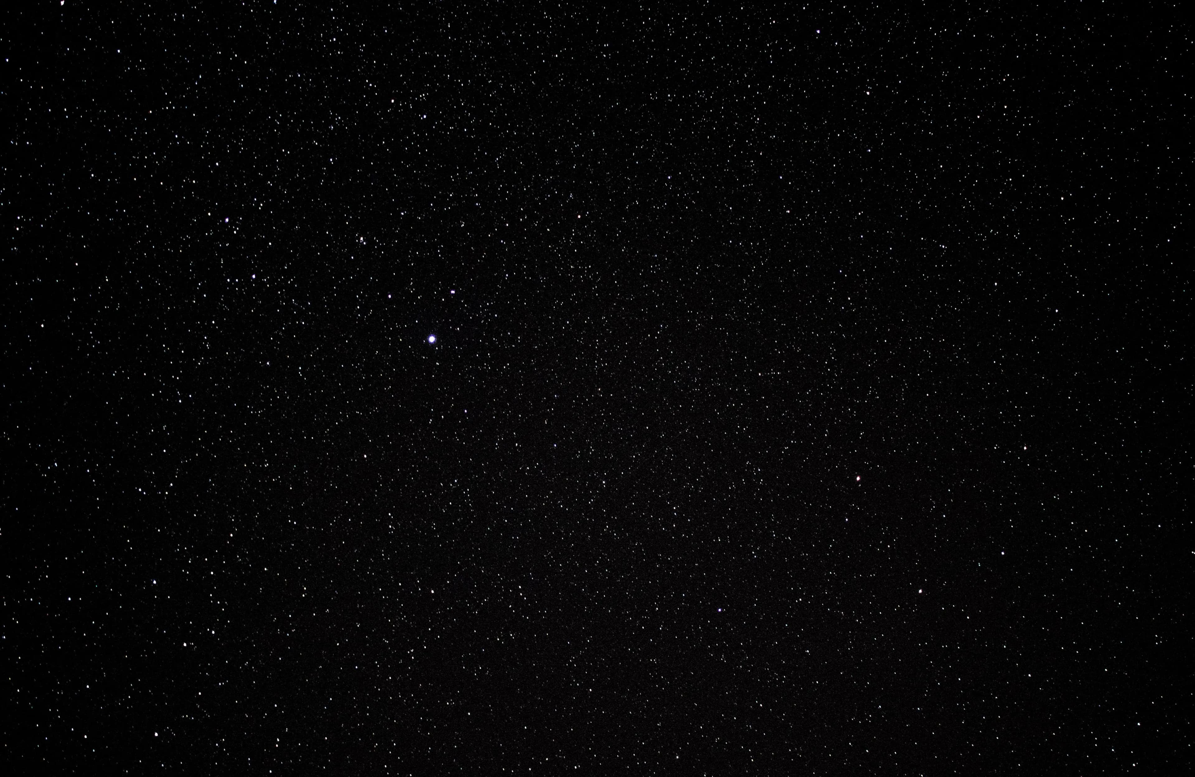 Starfield